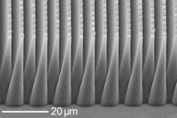 Cryogenic etching of silicon, courtesy of TU Braunschweig, Germany